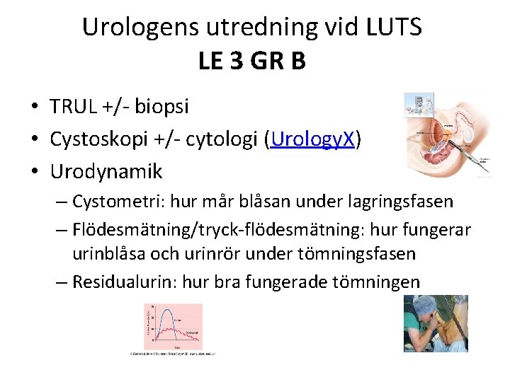 Urologens utredning vid LUTS LE 3 GR B • TRUL +/- biopsi • Cystoskopi