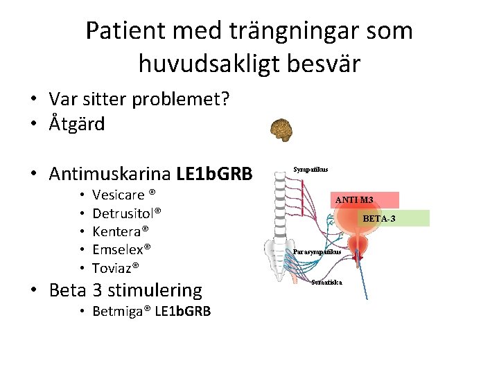 Patient med trängningar som huvudsakligt besvär • Var sitter problemet? • Åtgärd • Antimuskarina