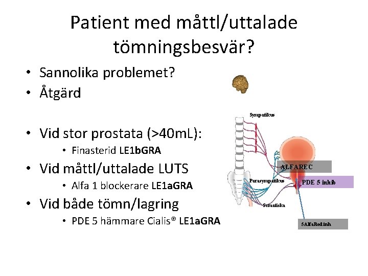 Patient med måttl/uttalade tömningsbesvär? • Sannolika problemet? • Åtgärd Sympatikus • Vid stor prostata