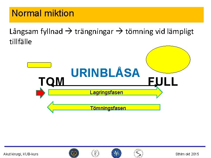 Normal miktion Långsam fyllnad trängningar tömning vid lämpligt tillfälle TOM URINBLÅSA FULL Lagringsfasen Tömningsfasen