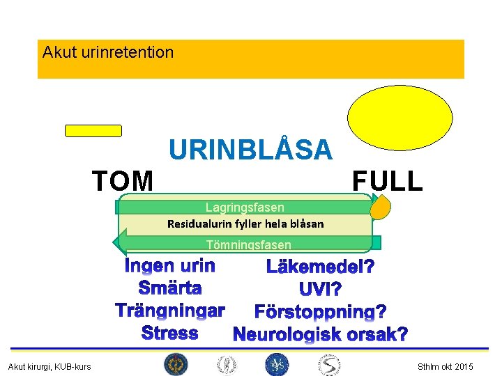 Akut urinretention TOM URINBLÅSA FULL Lagringsfasen Residualurin fyller hela blåsan Tömningsfasen Akut kirurgi, KUB-kurs