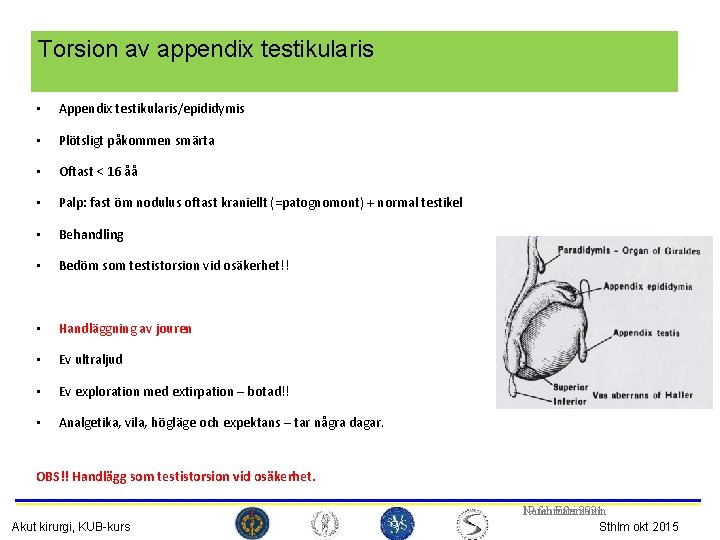 Torsion av appendix testikularis • Appendix testikularis/epididymis • Plötsligt påkommen smärta • Oftast <