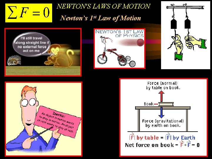 NEWTON'S LAWS OF MOTION Newton’s 1 st Law of Motion 