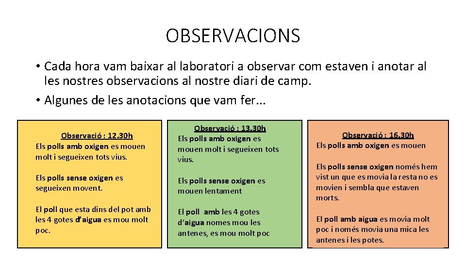 OBSERVACIONS • Cada hora vam baixar al laboratori a observar com estaven i anotar