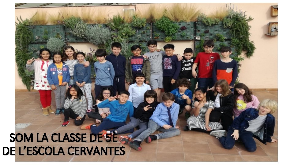 SOM LA CLASSE DE 5È DE L’ESCOLA CERVANTES 