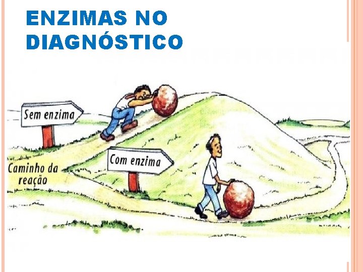 ENZIMAS NO DIAGNÓSTICO 