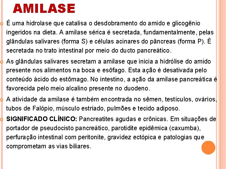 AMILASE É uma hidrolase que catalisa o desdobramento do amido e glicogênio ingeridos na