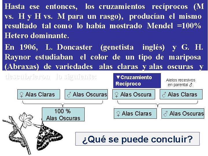 Hasta ese entonces, los cruzamientos recíprocos (M vs. H y H vs. M para Hasta ese entonces, los cruzamientos recíprocos (M vs. H y H vs. M para