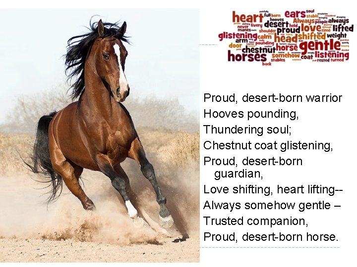 Proud, desert-born warrior Hooves pounding, Thundering soul; Chestnut coat glistening, Proud, desert-born guardian, Love