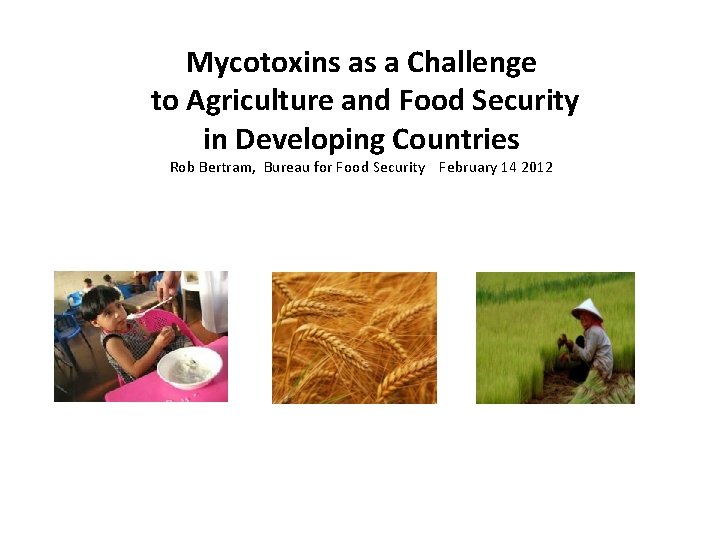 Mycotoxins as a Challenge to Agriculture and Food Security in Developing Countries Rob Bertram,