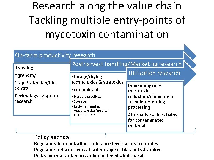 Research along the value chain Tackling multiple entry-points of mycotoxin contamination On-farm productivity research