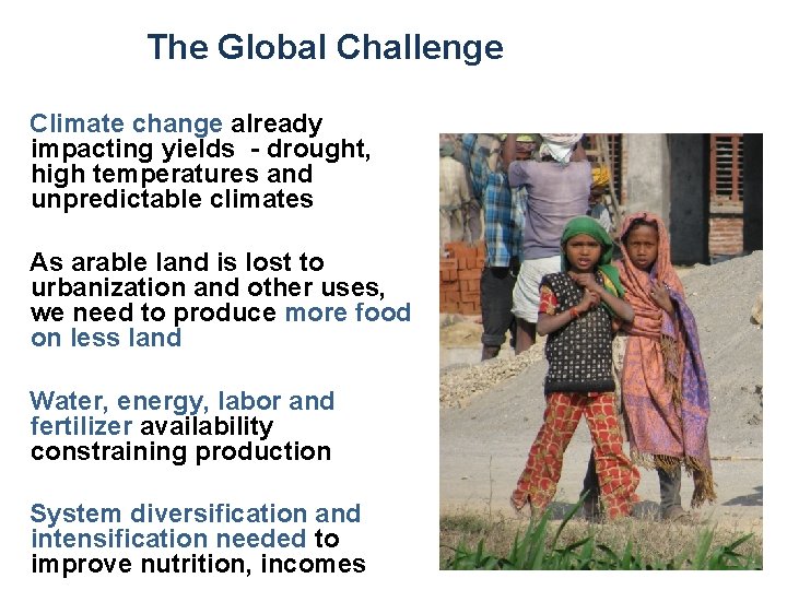 The Global Challenge Climate change already impacting yields - drought, high temperatures and unpredictable