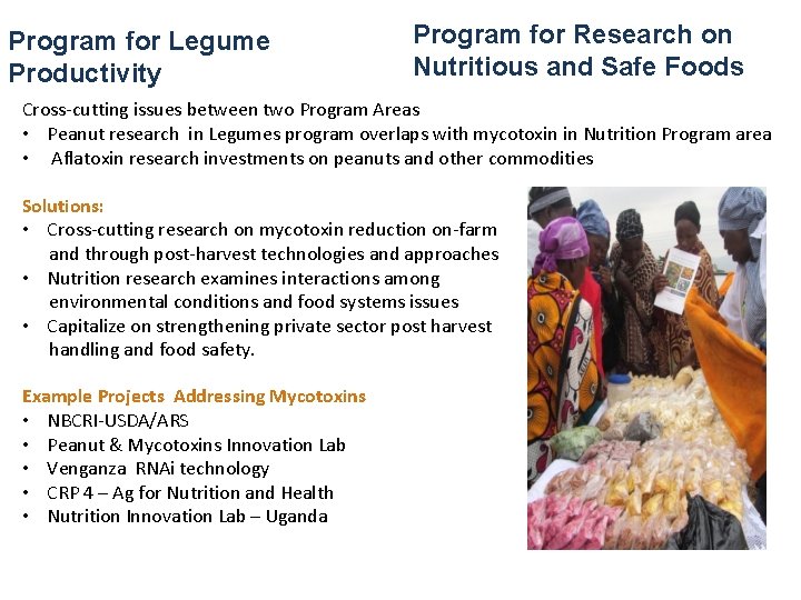 Program for Legume Productivity Program for Research on Nutritious and Safe Foods Cross-cutting issues