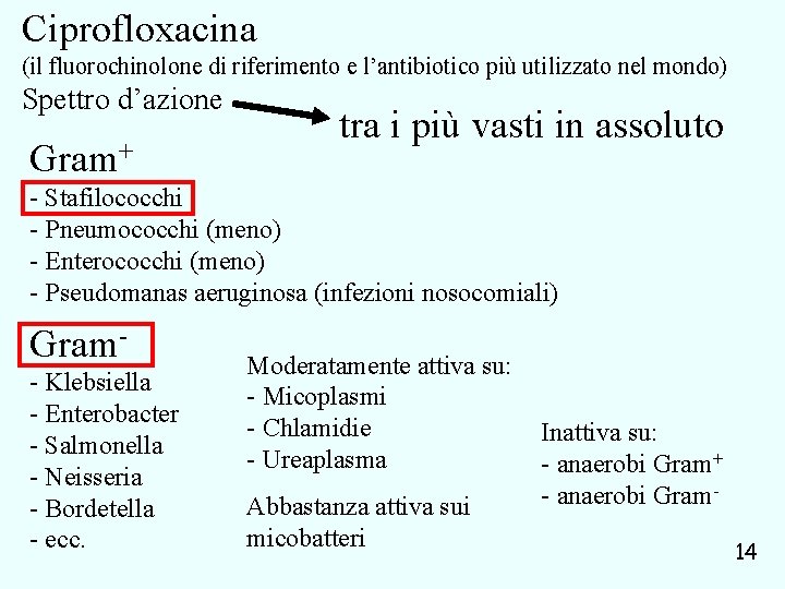 Ciprofloxacina (il fluorochinolone di riferimento e l’antibiotico più utilizzato nel mondo) Spettro d’azione Gram+