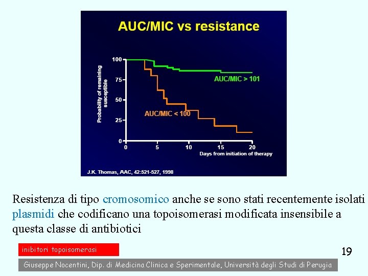 Resistenza di tipo cromosomico anche se sono stati recentemente isolati plasmidi che codificano una