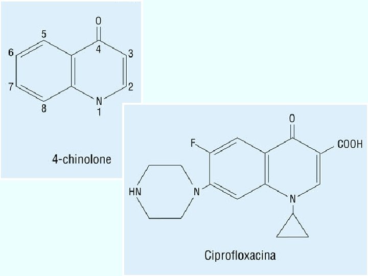 inibitori topoisomerasi Giuseppe Nocentini, Dip. di Medicina Clinica e Sperimentale, Università degli Studi di
