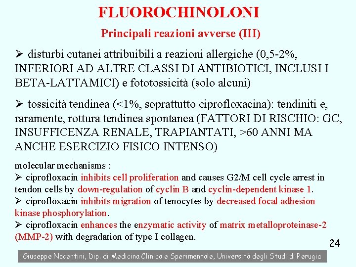 FLUOROCHINOLONI Principali reazioni avverse (III) Ø disturbi cutanei attribuibili a reazioni allergiche (0, 5