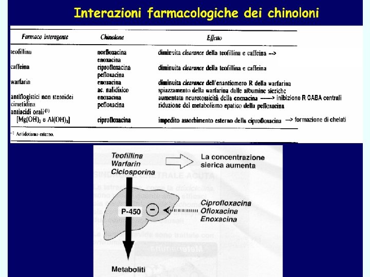 inibitori topoisomerasi Giuseppe Nocentini, Dip. di Medicina Clinica e Sperimentale, Università degli Studi di