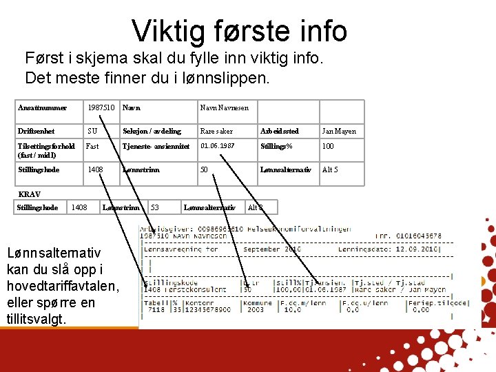 Viktig første info Først i skjema skal du fylle inn viktig info. Det meste