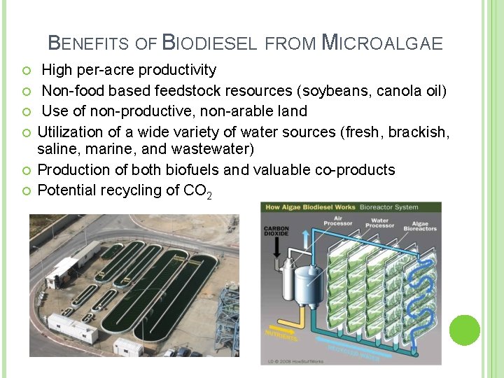 MICROALGAE FOR BIODIESEL PRODUCTION Journal review by Cynthia