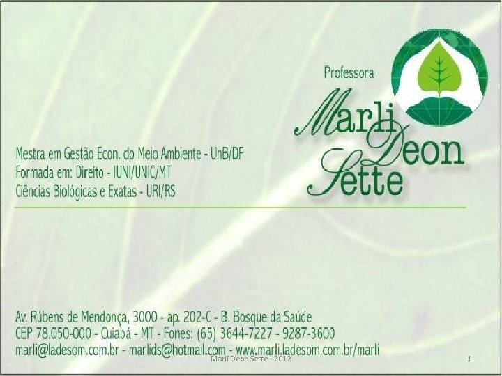 Marli Deon Sette - 2012 1 