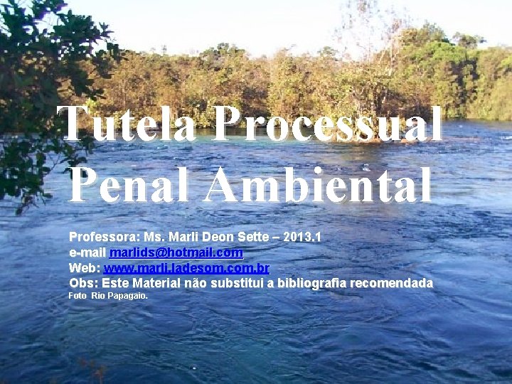 Tutela TUTELA Processual e RESPONSABILIDADE PENAL Penal Ambiental Professora: Ms. Marli Deon Sette –