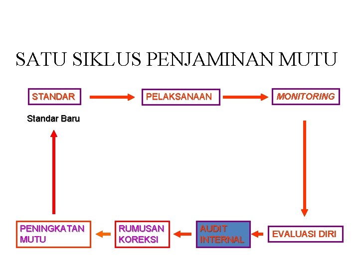 SATU SIKLUS PENJAMINAN MUTU STANDAR PELAKSANAAN MONITORING Standar Baru PENINGKATAN MUTU RUMUSAN KOREKSI AUDIT