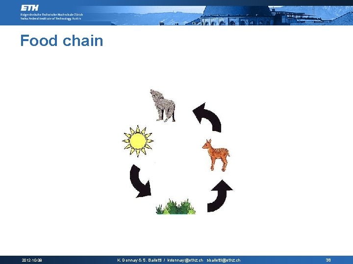 Food chain 2012 -10 -08 K. Donnay & S. Balietti / kdonnay@ethz. ch sbalietti@ethz.