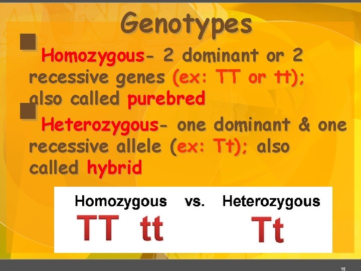 § § Genotypes Homozygous- 2 dominant or 2 recessive genes (ex: TT or tt);