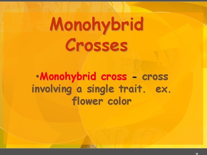 Monohybrid Crosses • Monohybrid cross - cross involving a single trait. ex. flower color