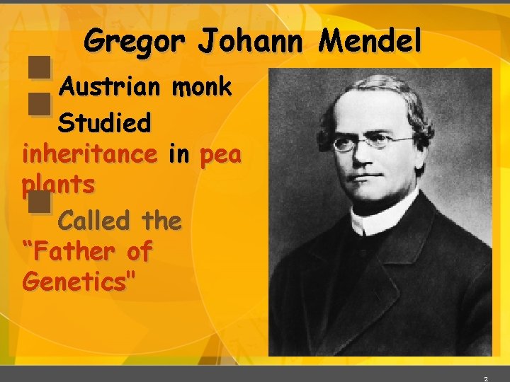 §§ § Gregor Johann Mendel Austrian monk Studied inheritance in pea plants Called the