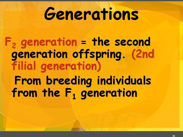 Generations F 2 generation = the second generation offspring. (2 nd filial generation) From