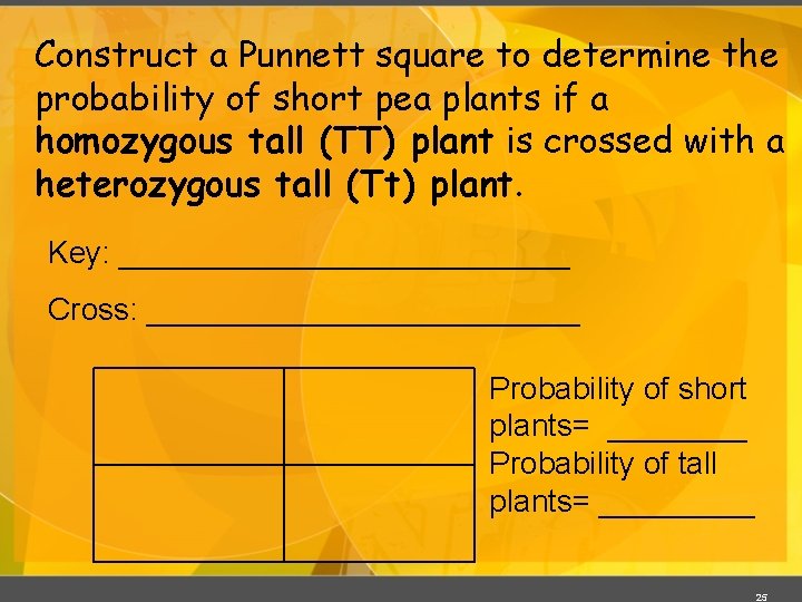Construct a Punnett square to determine the probability of short pea plants if a