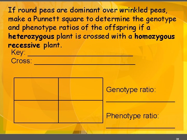 If round peas are dominant over wrinkled peas, make a Punnett square to determine