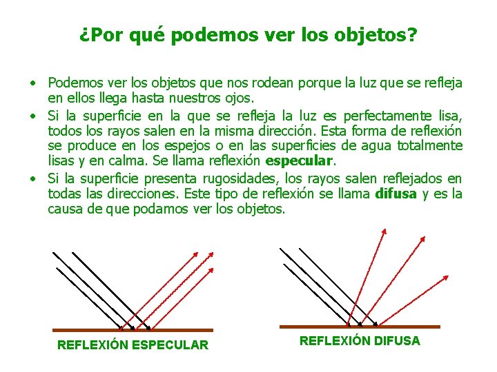 ¿Por qué podemos ver los objetos? • Podemos ver los objetos que nos rodean