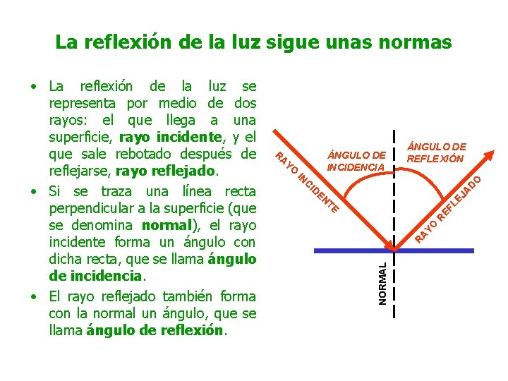 La reflexión de la luz sigue unas normas ÁNGULO DE INCIDENCIA D ID LE