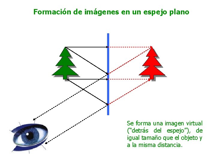 Formación de imágenes en un espejo plano Se forma una imagen virtual (“detrás del