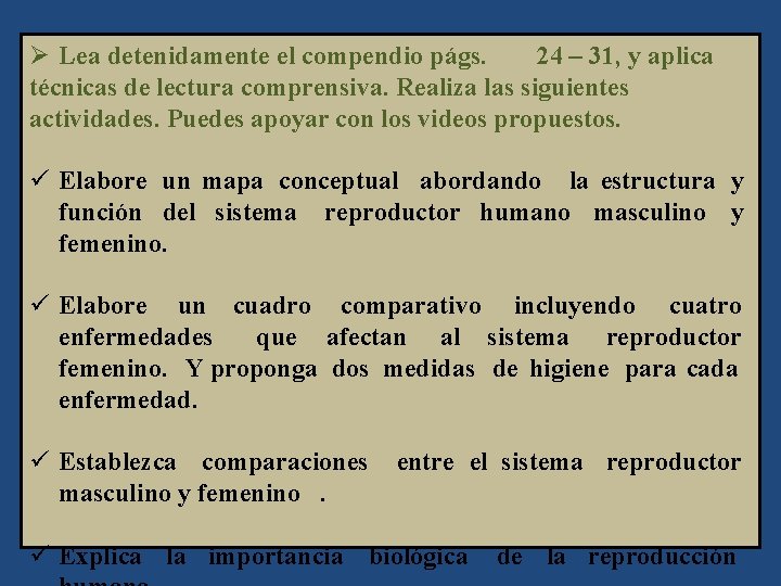 Ø Lea detenidamente el compendio págs. 24 – 31, y aplica técnicas de lectura