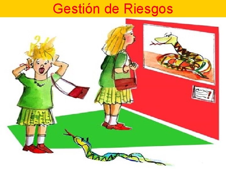 Gestión de Riesgos 