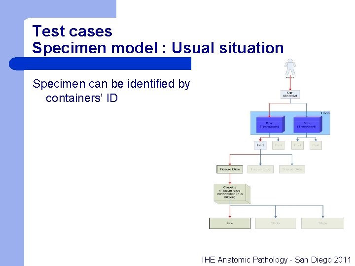 Test cases Specimen model : Usual situation Specimen can be identified by containers’ ID