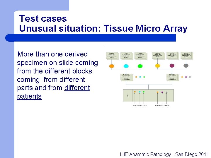 Test cases Unusual situation: Tissue Micro Array More than one derived specimen on slide