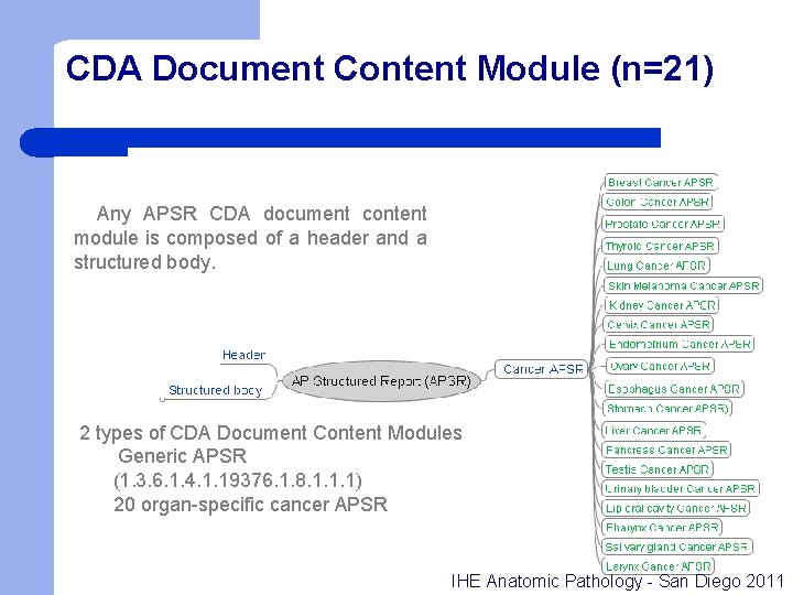 CDA Document Content Module (n=21) Any APSR CDA document content module is composed of
