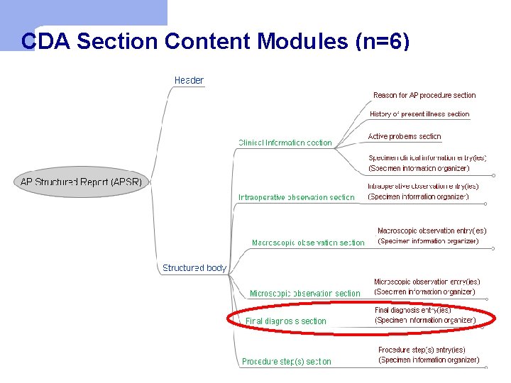 CDA Section Content Modules (n=6) 