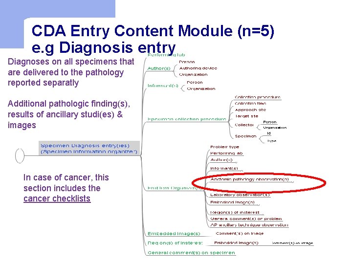 CDA Entry Content Module (n=5) e. g Diagnosis entry Diagnoses on all specimens that