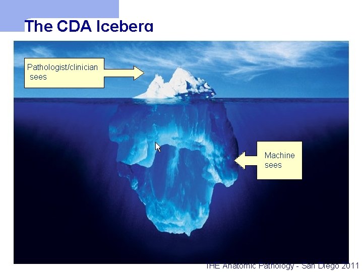 The CDA Iceberg Pathologist/clinician sees Machine sees IHE Anatomic Pathology - San Diego 2011