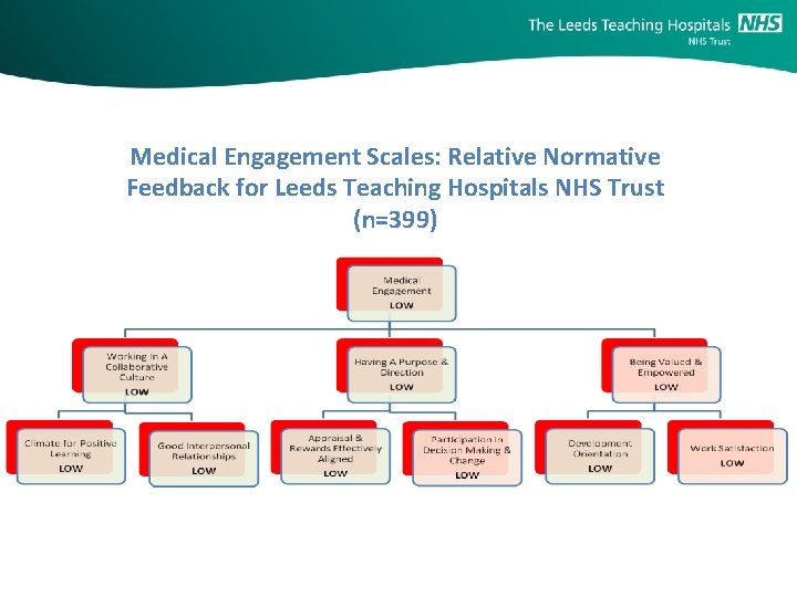 Medical Engagement Scales: Relative Normative Feedback for Leeds Teaching Hospitals NHS Trust (n=399) 