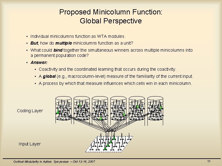 Proposed Minicolumn Function: Global Perspective • Individual minicolumns function as WTA modules. • But,