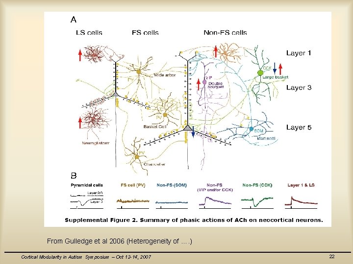From Gulledge et al 2006 (Heterogeneity of …. ) Cortical Modularity in Autism Symposium