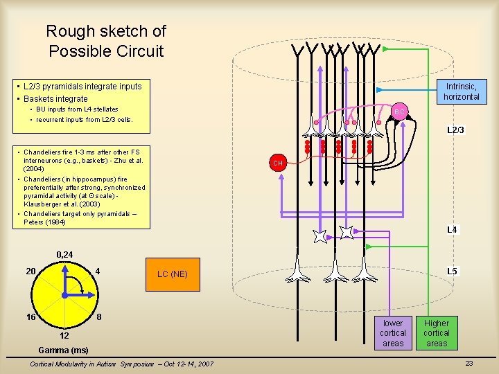Rough sketch of Possible Circuit • L 2/3 pyramidals integrate inputs • Baskets integrate