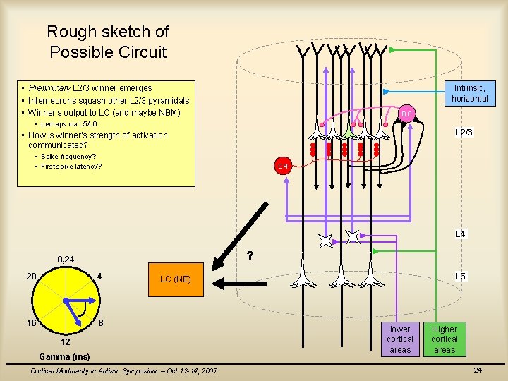 Rough sketch of Possible Circuit • Preliminary L 2/3 winner emerges • Interneurons squash
